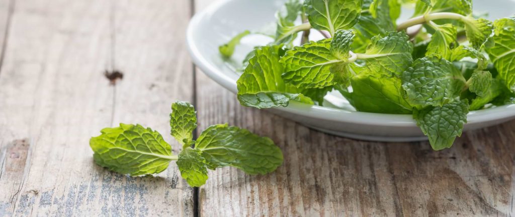 5 Healing Plants To Grow At Home 1 27132 6