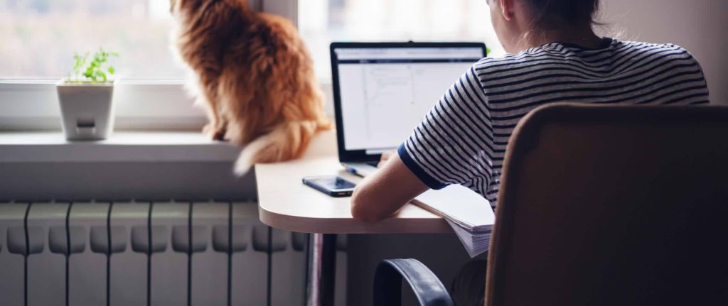 8 Things You Must Do Before Launching an Online Program 1 27320 8