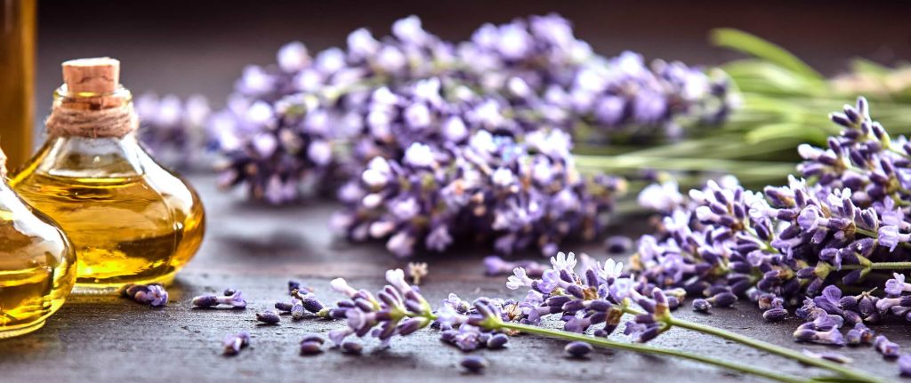 Top 8 Health & Beauty Benefits of Lavender 1 27655 7