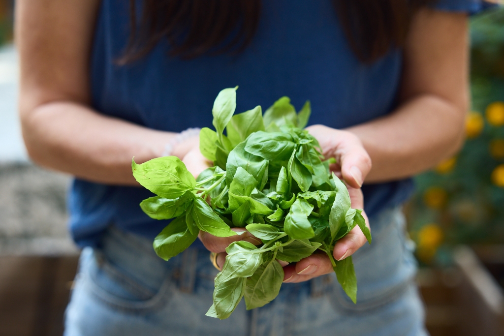 Crunchy Cucumber Salad 5 CreamyPestoPasta 34 Web